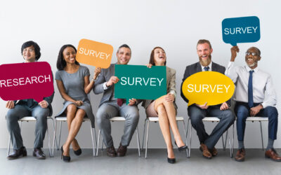 Student Survey for a Better Course Catalogue Experience