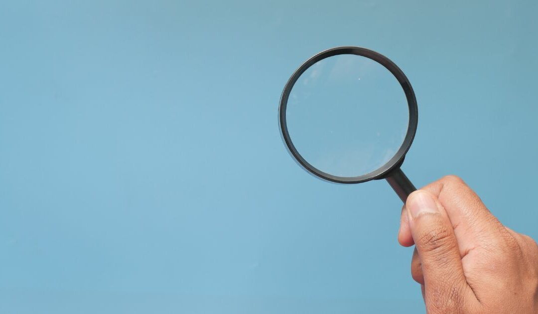 What Did the Course Catalogue Mapping Exercise Uncover About European Higher Education?