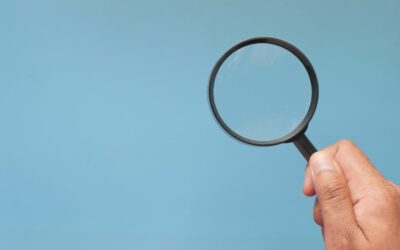 What Did the Course Catalogue Mapping Exercise Uncover About European Higher Education?